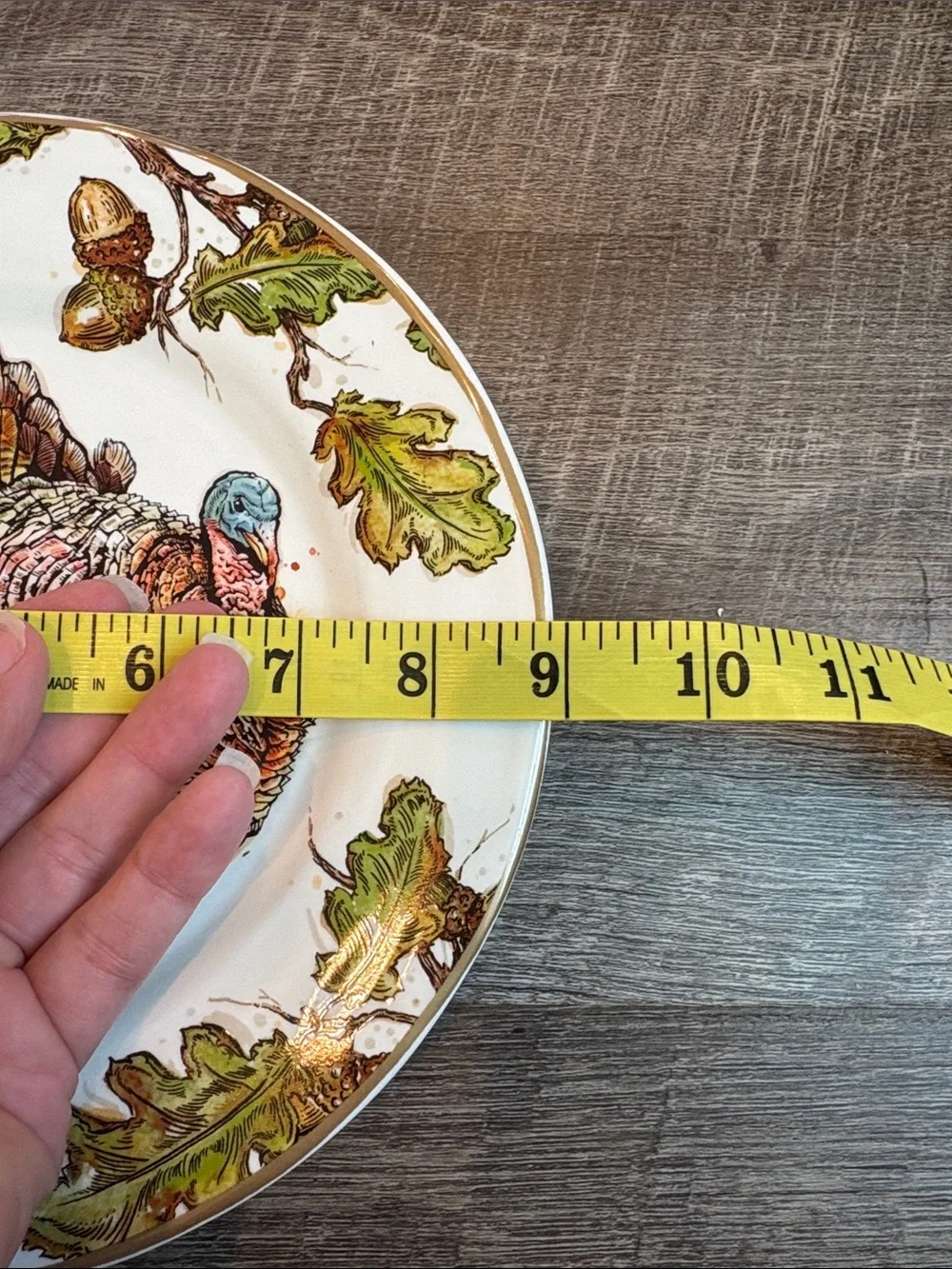 Pier 1 Autumn Oak Turkey Luncheon Salad Plates Earthenware 9